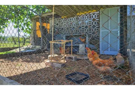 Vinyeta, Appartement à Majorque près des Plages - Photo 30