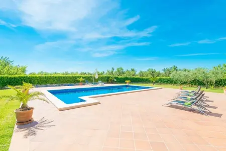 Can Bielet, Finca à Binissalem avec Piscine et Vins - Photo 15