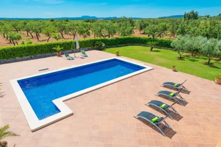 Can Bielet, Finca à Binissalem avec Piscine et Vins - Photo 42