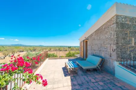 Sa Vinya Des Compte, Villa à Majorque avec piscine et barbecue - Photo 16
