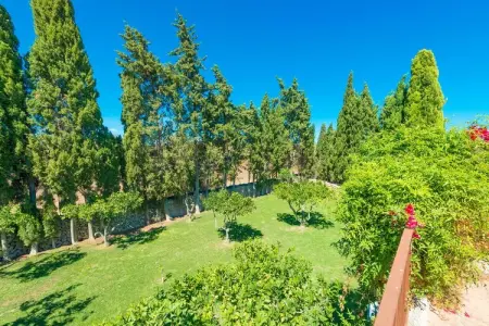 Sa Vinya Des Compte, Villa à Majorque avec piscine et barbecue - Photo 30