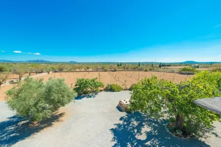 Sa Vinya Des Compte, Villa à Majorque avec piscine et barbecue - Photo 33