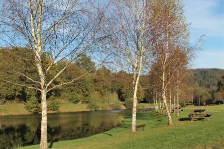 Gîte la Verrerie, Gîte à Saint-Quirin près du Lac - Photo 39