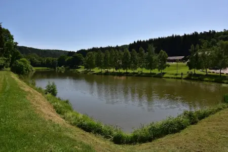 Gîte la Verrerie, Gîte à Saint-Quirin près du Lac - Photo 40