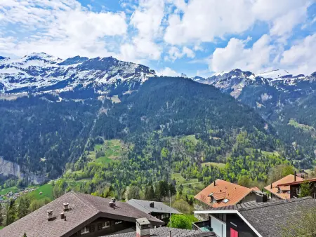 Plein Soleil, Chalet 4 personnes à Wengen - Photo 23