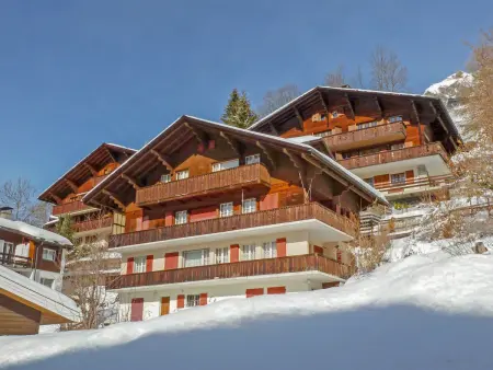 Plein Soleil, Chalet 4 personnes à Wengen - Photo 24