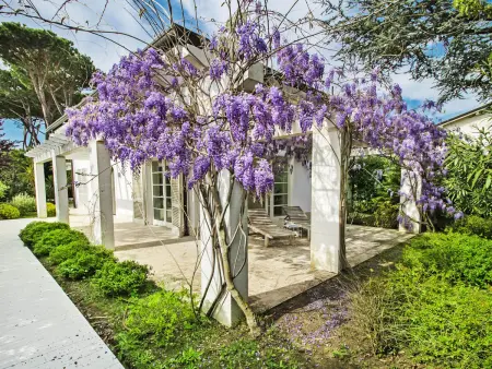 Delizia, Villa 8 personnes à Forte dei Marmi - Photo 2