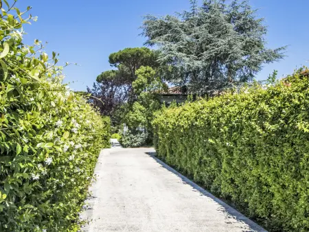 Delizia, Villa 8 personnes à Forte dei Marmi - Photo 48