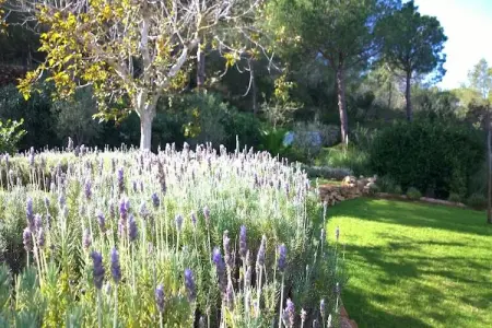 Finca Planetas, Demeure boutique avec piscine à Ibiza. - Photo 26
