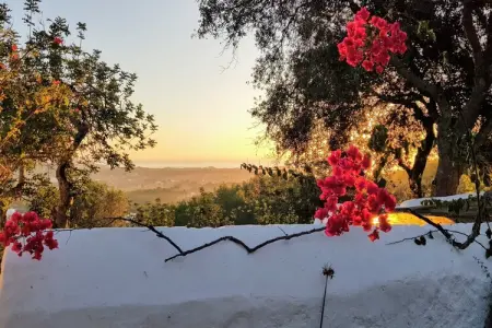 Finca Planetas, Demeure boutique avec piscine à Ibiza. - Photo 47