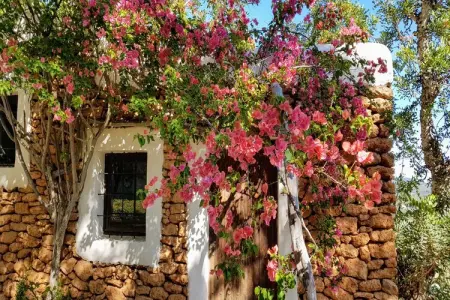 Finca Planetas, Demeure boutique avec piscine à Ibiza. - Photo 50
