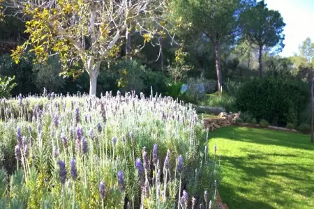 Finca Planetas, Demeure boutique avec piscine à Ibiza. - Photo 55