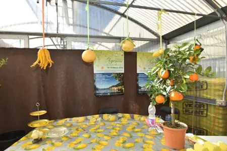 Cannero Casa Iva, Retraite spacieuse à Cannero - Photo 20