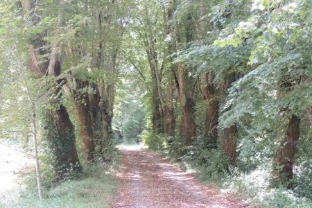 Le Rouvet près de Dordogne, Maison-tour historique à Brignac - Photo 32