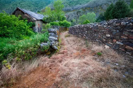 Casa rural Leon I, Appartement à La Omañuela - Photo 14