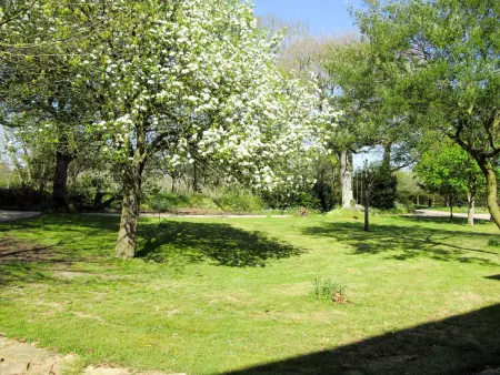 La Bergerie, Maison 4 personnes à Saint Sauveur de Vicomte - Photo 7