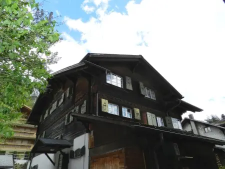 Studio Oehrli, Appartement 2 personnes à Gstaad - Photo 2