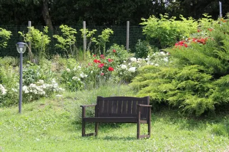 Colle, Appartement à Piticchio avec Vue et Piscine - Photo 16