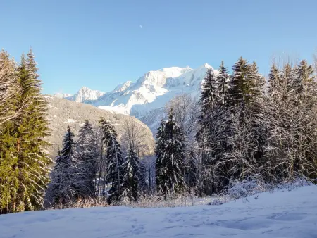 Le Taguy, Appartement 4 personnes à Saint Gervais - Photo 18