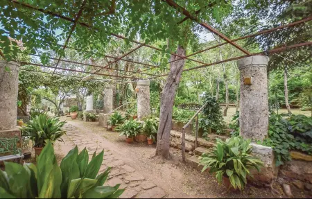 Casa del Gelso, Maison 8 personnes à Acquedolci - Photo 3