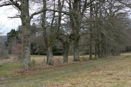 Gite Les Ayes, Escapade paisible à Teilhet - Photo 32