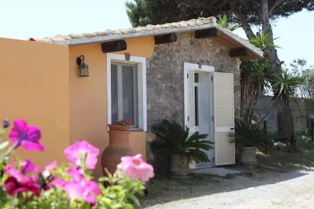 Cottage Rachele, Cottage à Calasetta en Sardaigne avec jardin - Photo 22
