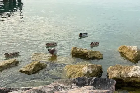 Jolly Trilo Superiore, Appartement près du lac de Garde à Sirmione - Photo 37