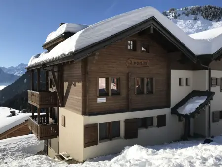 Almenrausch 1. OG Süd-Ost, Appartement 6 personnes à Riederalp - Photo 2