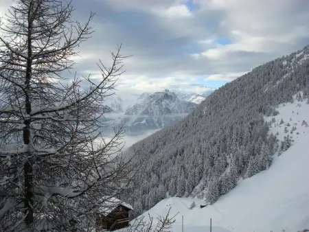 Almenrausch 1. OG Süd-Ost, Appartement 6 personnes à Riederalp - Photo 11