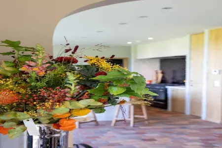Gisèle, Belle maison de vacances avec terrasse et jardin - Photo 35