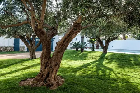 Casa Marsala Due, Maison à Marsala près de Plage - Photo 24