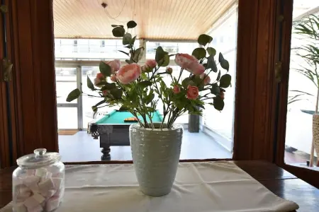 Het huis van Amelie, De Panne Grand Séjour Familial - Photo 34