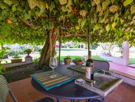 Bardeggiano - Caterina 5, Maison 2 personnes à Colle Val d'Elsa - Photo 24