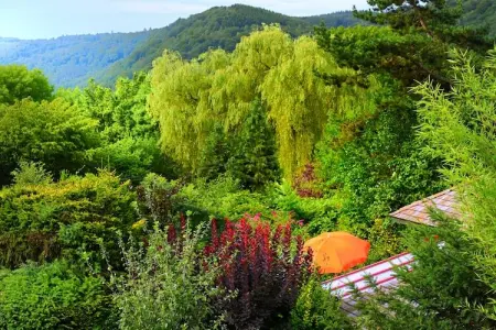 Quarreux 27, Chalet vintage dans un paysage magnifique - Photo 21