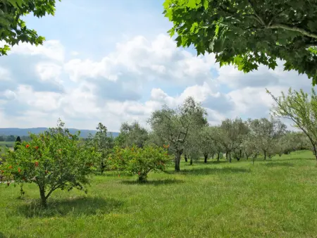 Mas de l'Adrech, Maison 6 personnes à Fayence - Photo 9