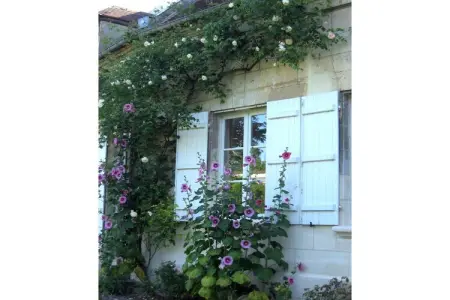 Gîte Saint Amand, Manoir à Machemont avec jardin privé, barbecue et cheminée - Photo 12