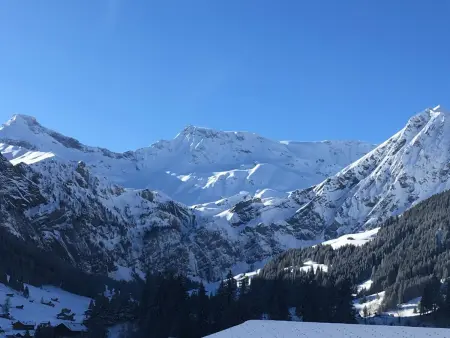 Hari, Appartement 2 personnes à Adelboden - Photo 6