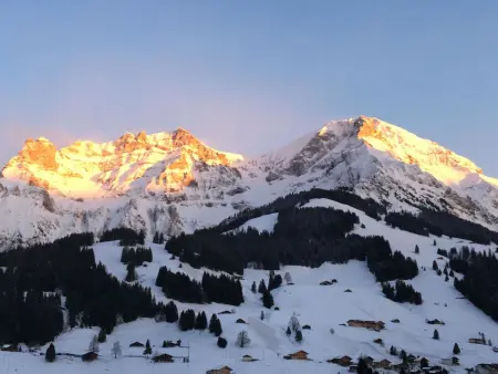Hari, Appartement 2 personnes à Adelboden - Photo 7