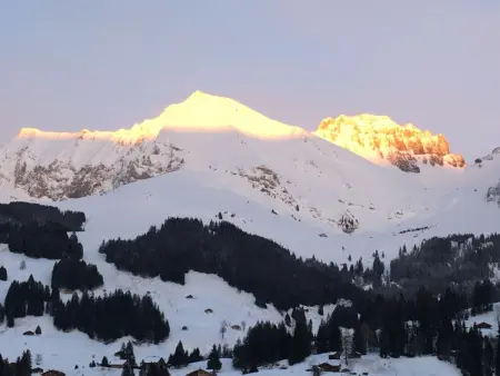 Hari, Appartement 2 personnes à Adelboden - Photo 8