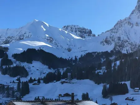 Hari, Appartement 2 personnes à Adelboden - Photo 9