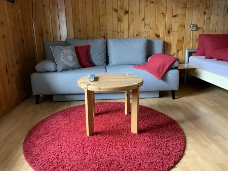 Hari, Appartement 2 personnes à Adelboden - Photo 12