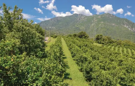 Maison 8 personnes à Santa Maria Poggio - Photo 7