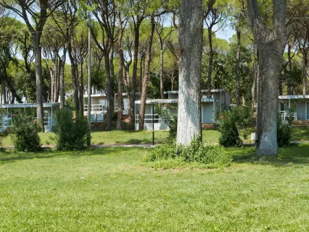 Belvedere Pineta Camping Village, Maison 6 personnes à Grado - Photo 42