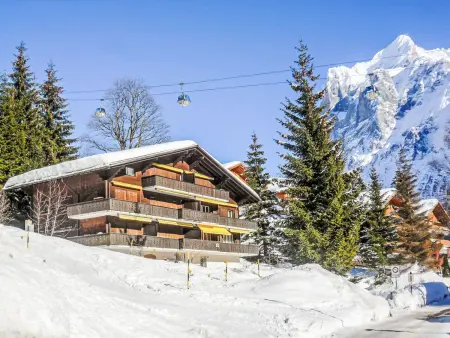 Chalet Bodmisunne, Appartement 6 personnes à Grindelwald - Photo 1