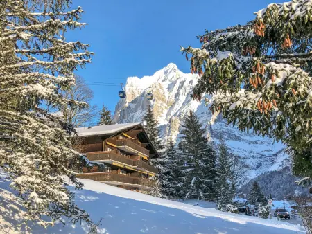 Chalet Bodmisunne, Appartement 6 personnes à Grindelwald - Photo 25