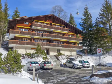 Chalet Bodmisunne, Appartement 6 personnes à Grindelwald - Photo 29