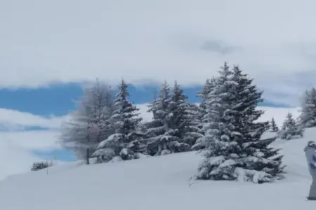 Les Lions Blancs, Chalet à Valloire près des pistes - Photo 34