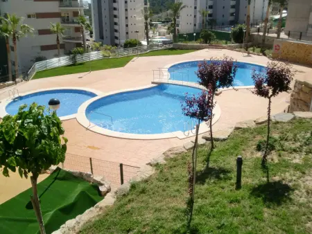 Torre Maestral, Appartement 6 personnes à Benidorm - Photo 7
