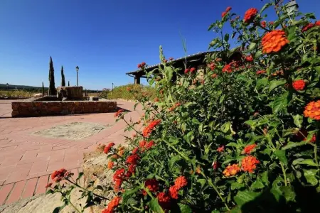 Armonia, Maison en Toscane près de Baratti - Photo 27