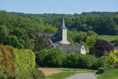 La Campagnarde, Belle maison de vacances à Hotton avec jardin - Photo 18
